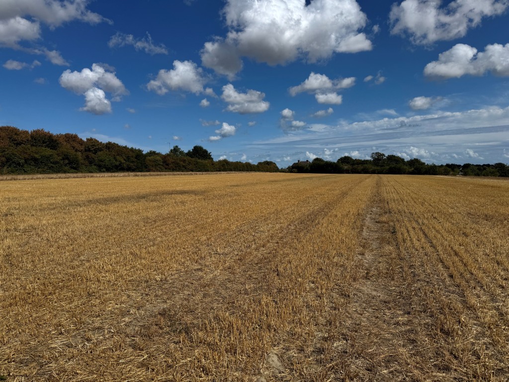 Lot: 61 - APPROXIMATELY FOUR AND A HALF ACRES - View of the land 4